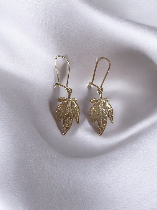 "Villiviini" korvakorut